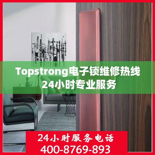 Topstrong电子锁维修热线 24小时专业服务