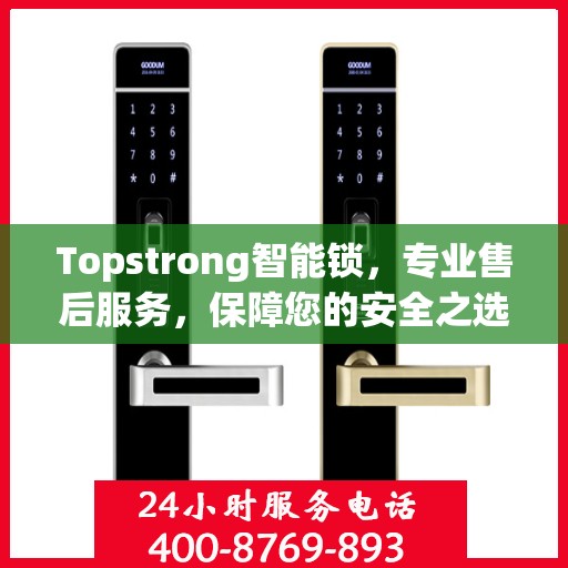 Topstrong智能锁，专业售后服务，保障您的安全之选