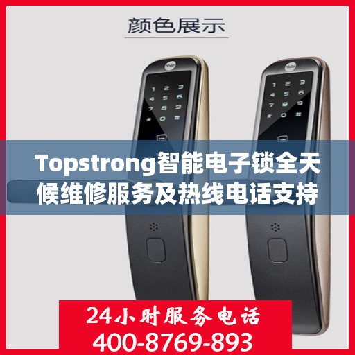 Topstrong智能电子锁全天候维修服务及热线电话支持