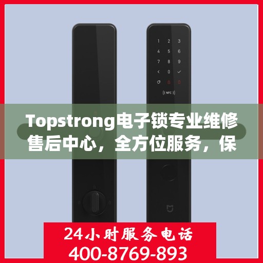 Topstrong电子锁专业维修售后中心，全方位服务，保障您的安全之选