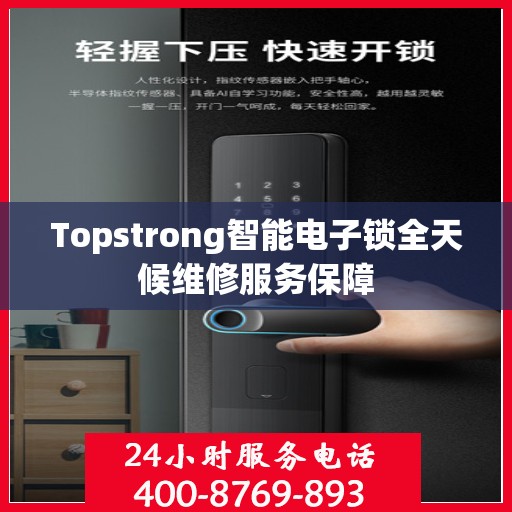 Topstrong智能电子锁全天候维修服务保障