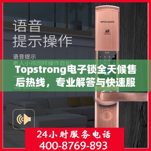 Topstrong电子锁全天候售后热线，专业解答与快速服务保障