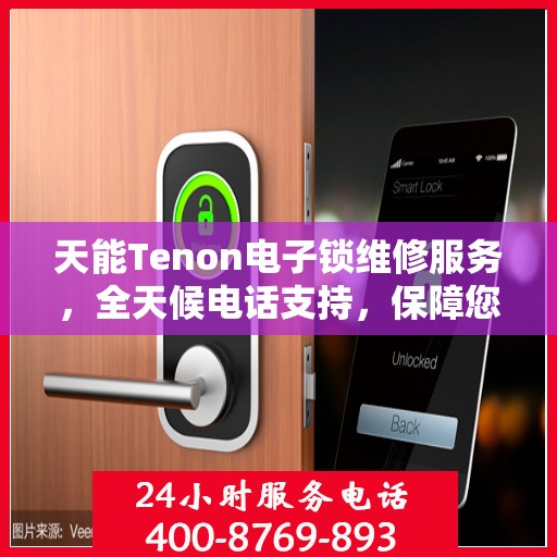 天能Tenon电子锁维修服务，全天候电话支持，保障您的安全无忧
